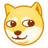 doge doge
