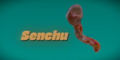 线虫|官方中文|Senchu|線虫