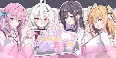 难道你是GAL高手