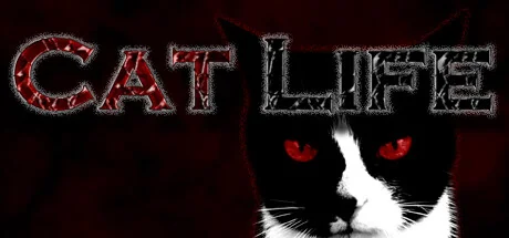 猫咪人生