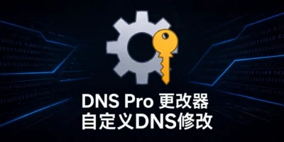 DNS Pro