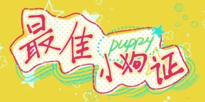 最佳小狗证|官方中文|Best Puppy Certificate